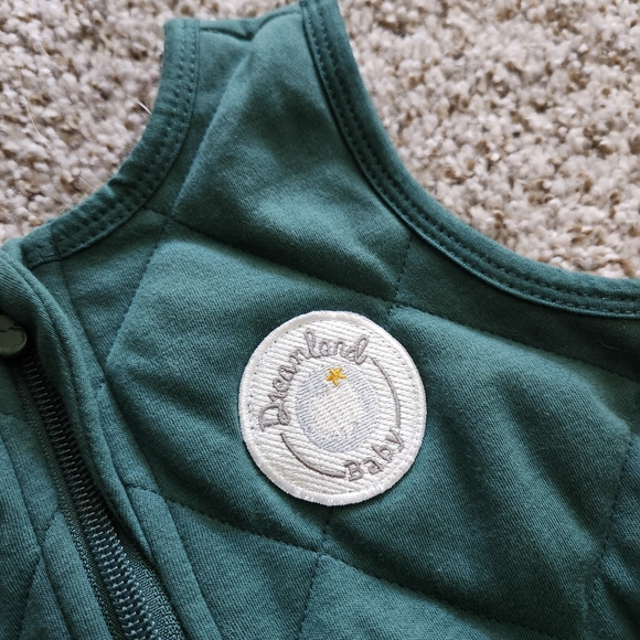 2 Dreamland BABY Weighted Quilted Sleep Sacks GREEN AND BLUE - Picture 3 of 5